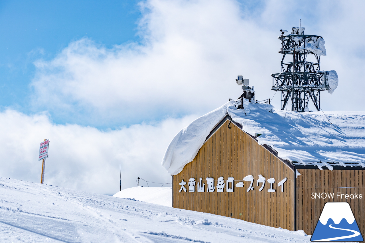 大雪山旭岳ロープウェイ｜別格の美しさと良質な粉雪。今年も北海道最高峰『旭岳』は、最高でした。